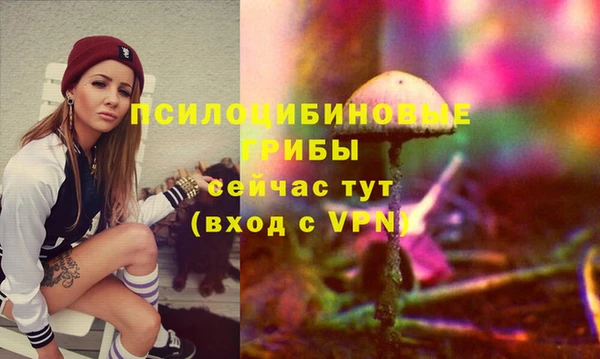 твердый Семикаракорск