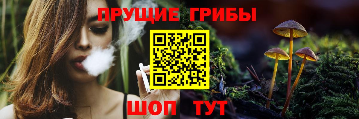 Псилоцибиновые грибы GOLDEN TEACHER  Псилоцибиновые грибы мицелий  Вход с VPN  закладка  Ростов-на-Дону 
