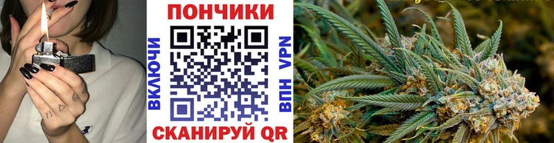 МЕГА   Ростов-на-Дону  Канабис ГИДРОПОН 